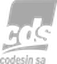 Codesin SA